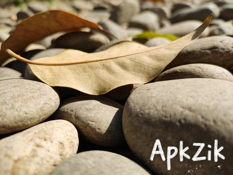 How to Create Art Photos Without Editing